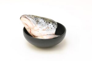 Teste di Salmone